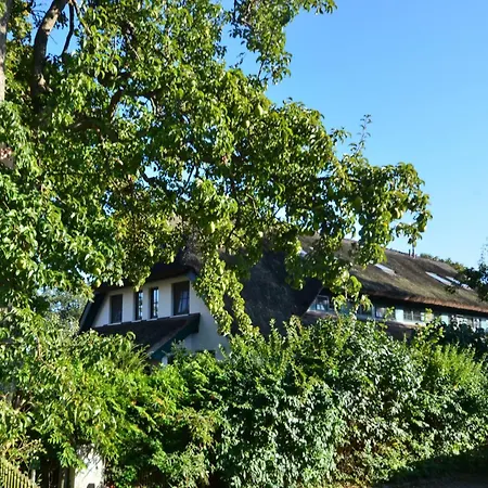 別荘 Strandhafer By Interhome *